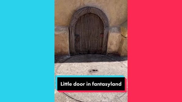 A little tiny door in Walt Disney World Resort in the Fantasyland area of Magic Kingdom appeared on TikTok.